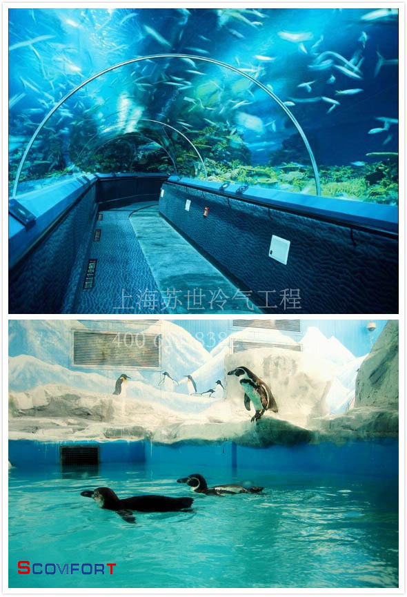 水族館保溫庫 恒溫庫 021-66105069 嚴(yán)格把控溫度
