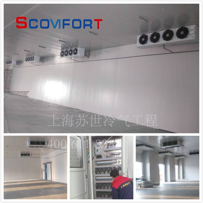 上海小型冷庫全套報(bào)價(jià) 專業(yè)后廚冷庫設(shè)計(jì) 021-66105069