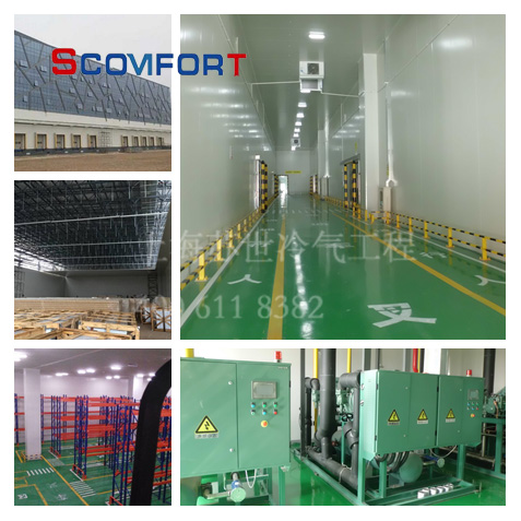 電商生鮮冷庫(kù) 上海蘇世冷氣工程冷庫(kù)專家 021-66105069 電商生鮮冷庫(kù) 上海蘇世冷氣工程冷庫(kù)專家 021-66105069