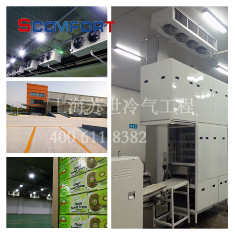 各類冷庫設(shè)計安裝 冷庫制冷專業(yè)工程公司 上海蘇世 021-66105068